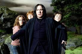 Favourite Harry Potter Character? Mention below if not in poll?