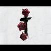 Time for a fun poll, which song you like best ?