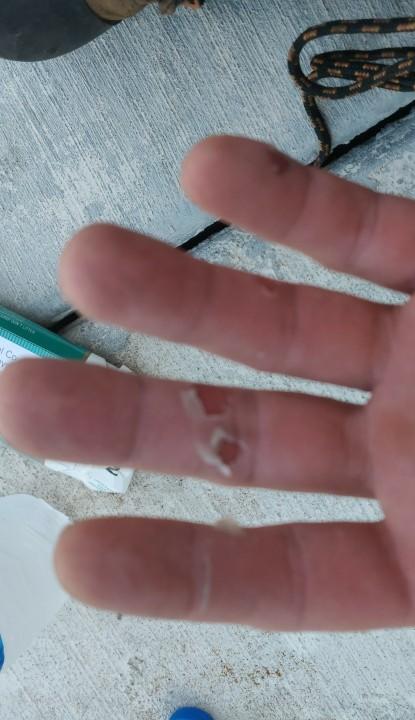 Have you ever worked this hard?