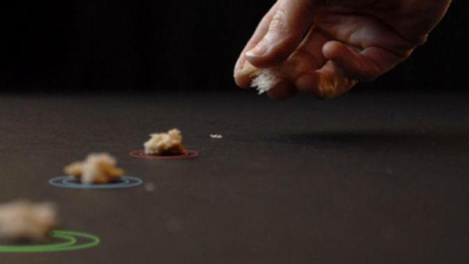 Are you a 'stasher', a 'paperclipper' or a 'breadcrumber'?