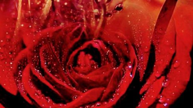 What Is The Most Romantic Thing Anyone Has Ever Done For You?
