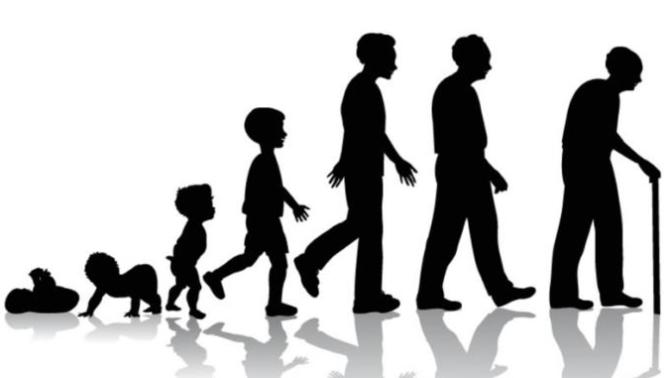 If you could choose to remain an age forever, what age would you choose?