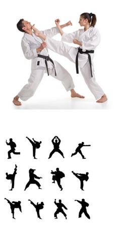 Which of these 4 martial arts is it hardest to achieve a black belt in, which is highest belt, assuming the person began with no experience at all?