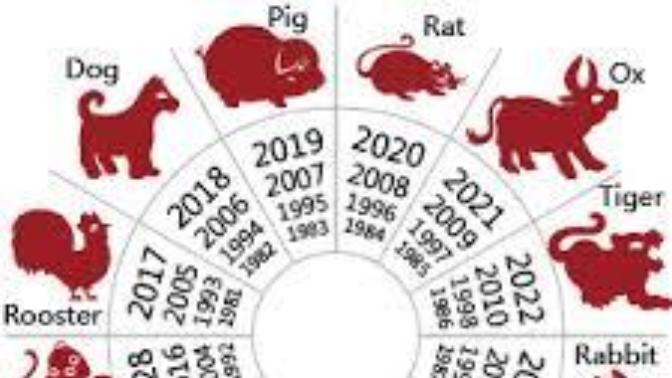 What's your Chinese Zodiac?