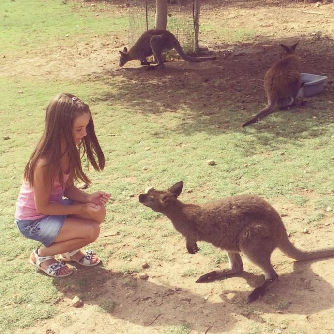 How much time do you spend in your backyard feeding and playing with your animals and is this healthy interactions?