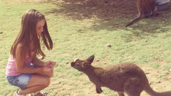How much time do you spend in your backyard feeding and playing with your animals and is this healthy interactions?
