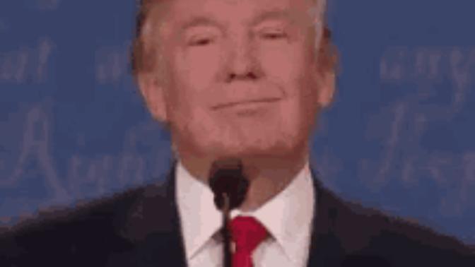 Who are people really voting for for President?