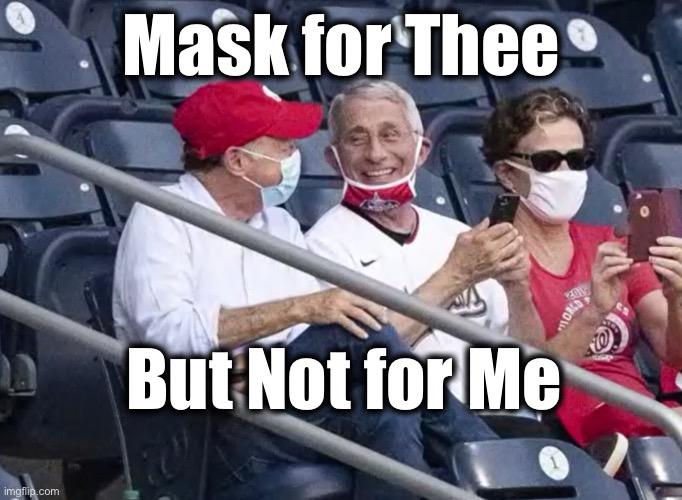 Be honest, do you think wearing a mask is stupid?