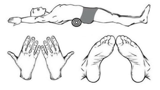 Has anyone tried this japanese exercise?