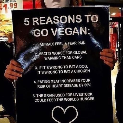 Have you ever considered to go vegan?