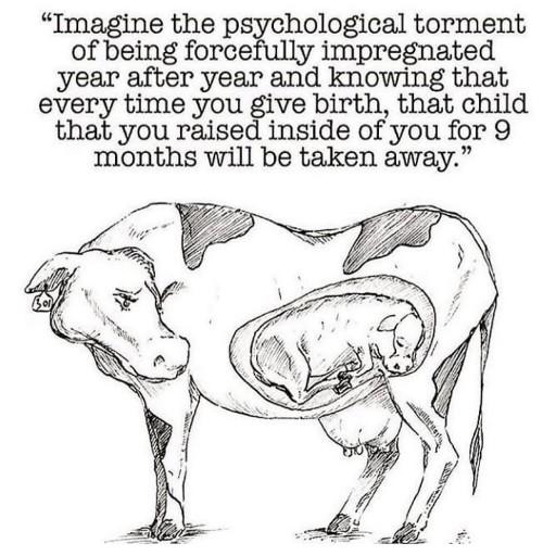 Have you ever considered to go vegan?
