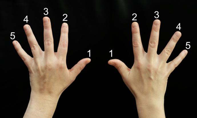 How Many Fingers Do You Use AND Why?