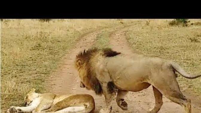 Animals definitely have a sense of humor...😂 thoughts?