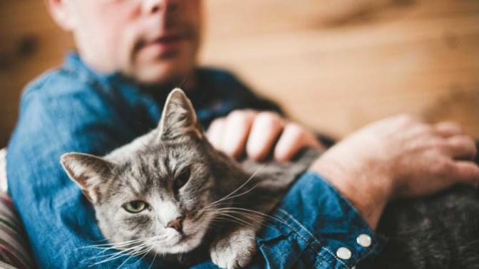 Has corona time made you more dependent on your pets for affection?