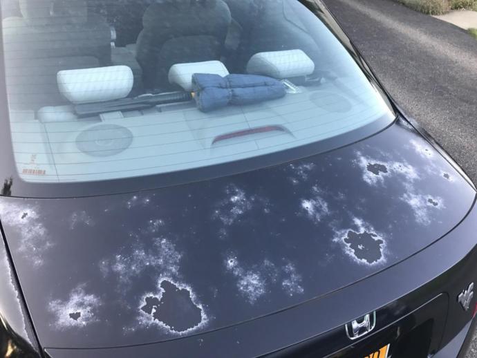 What car should I buy?