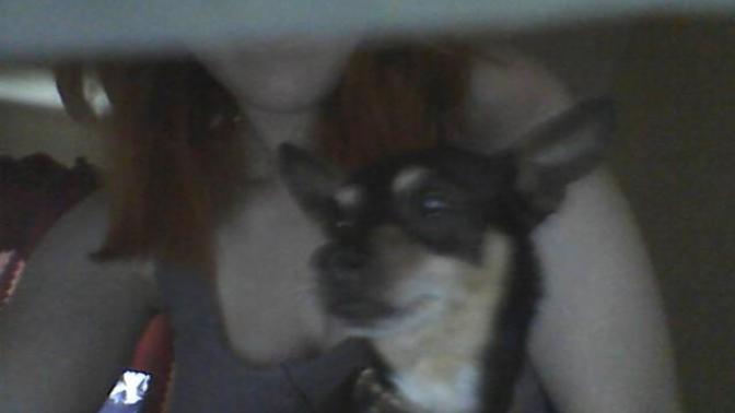 Is my dog cute or what?