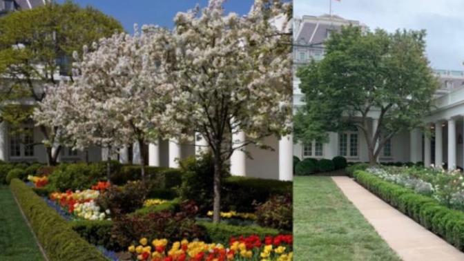 Why would they destroy a Rose Garden which was there since the 1900s be torn down and removed by the current administration?