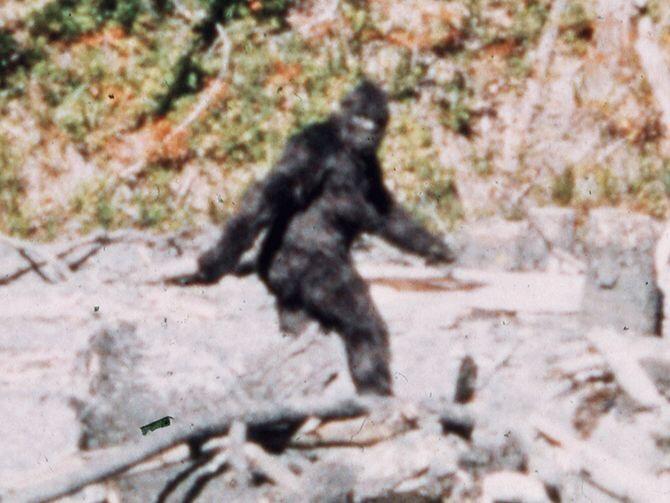 Would you have sex with Bigfoot?