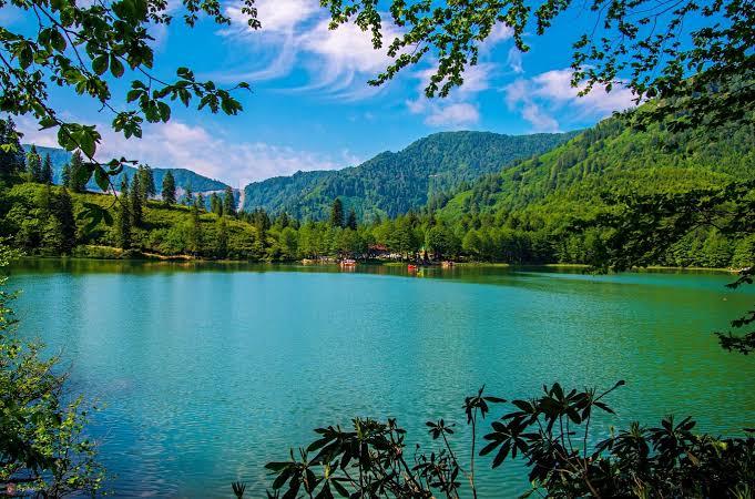 Which country do you want to visit the most?