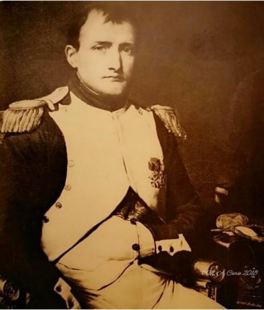 What things do you know about Napoleon Bonaparte?