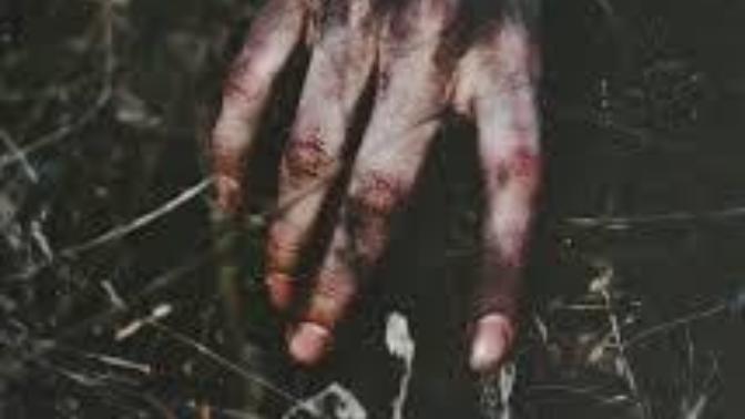 What would you do (CREEPY)?