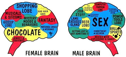 Are these brain differences between males and females accurate?