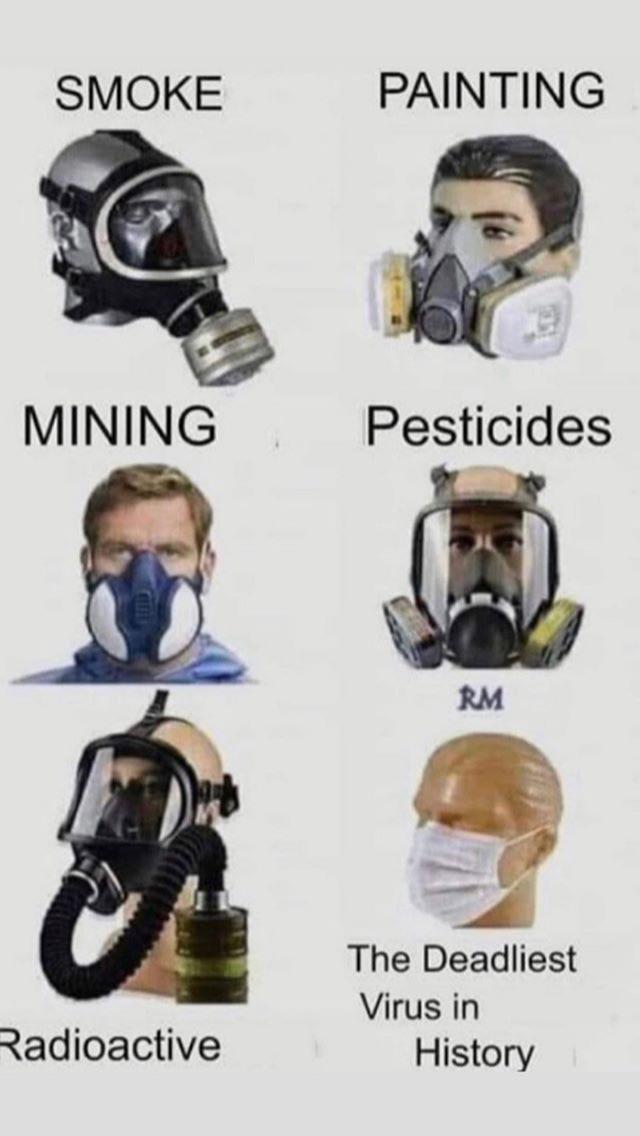 Do you agree with this image regarding the questionable effectiveness of facemasks against COVID-19?