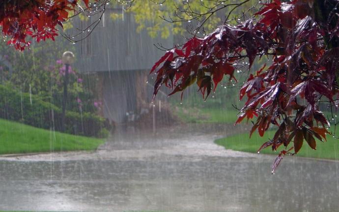 Miserable summers day