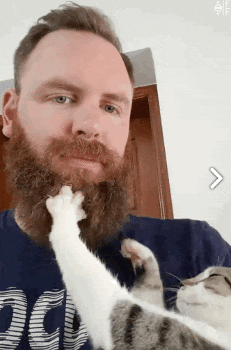 P*ssies Love Beards By The Way... I Meant Cats... Cats love beards... ππ»