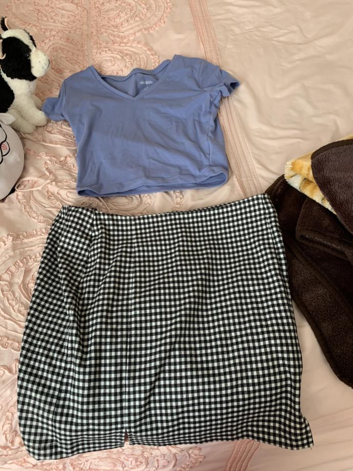 Does this shirt and skirt go together?