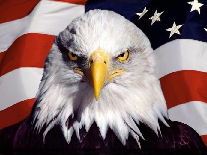 Lets have some fun, what you think about the American Eagle Party?