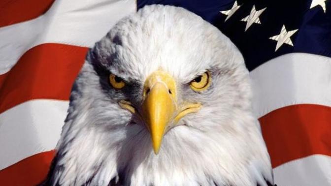 Let's have some fun, what you think about the American Eagle Party?