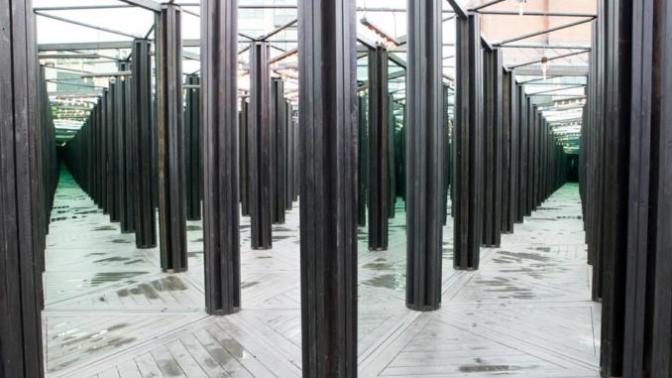 Could you live in a house of mirrors for 6 months?