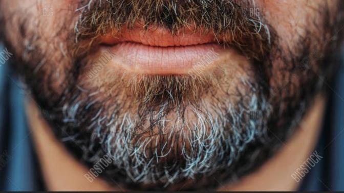 Girls, A question for girls who don't mind hairy chest and beard?