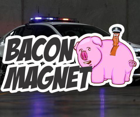 Which is the favorite slang for police?🚔👮🥓🐷🍩?