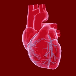 What is your heart rate in beats per minute while you are at rest?