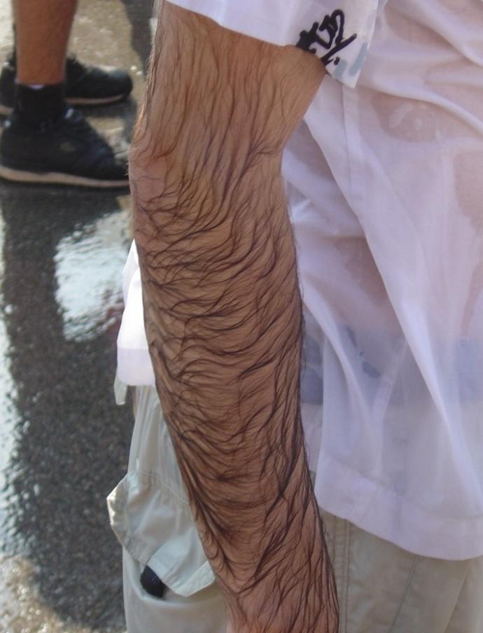 Girls, If you get a glimpse of a guys forearms?