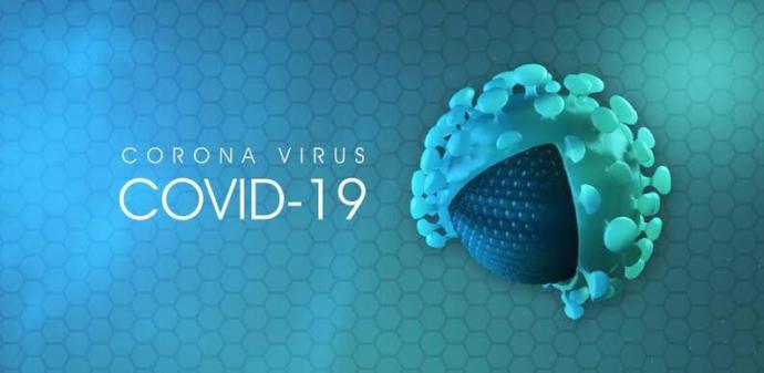 What are some of the perks of this pandemic?