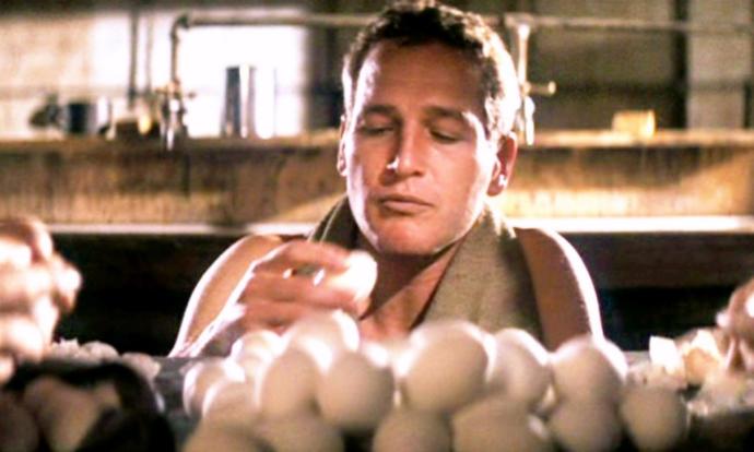 Were you aware that the scene in the 1967 movie Cool Hand Luke where Paul Newman was suspected of eating 50 eggs was fake and staged?