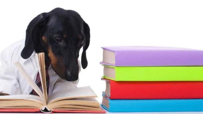 Self-Study/Teaching Tips?