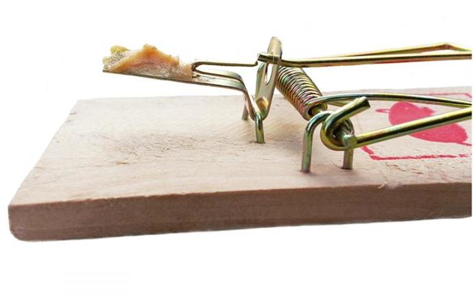 Which of these mouse traps methods do you think is most inhumane?