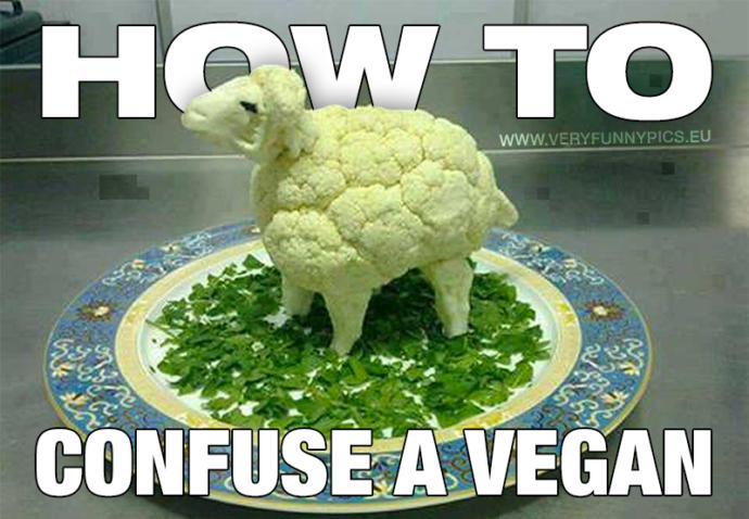 Fellow meat-eaters, what are your personal best counter-arguments to veganism?