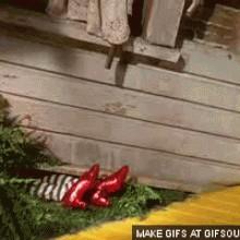 Thoughts on The Wizard of Oz?