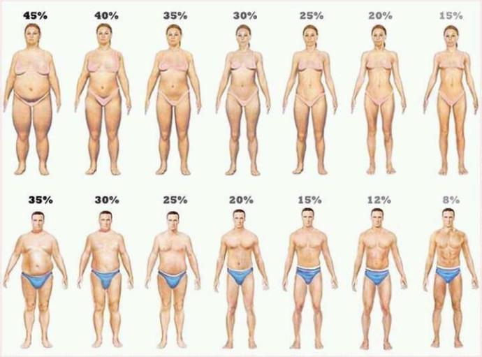 BMI on a person.