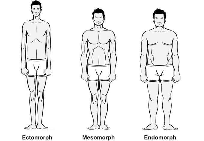 Fit male body types.