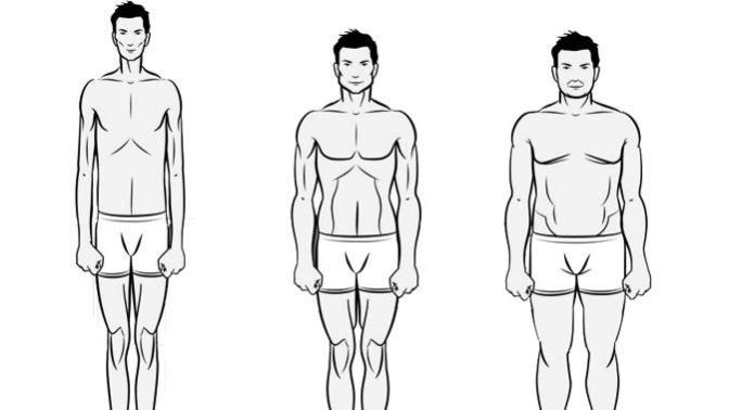Girls, what is your favorite body type of a man?