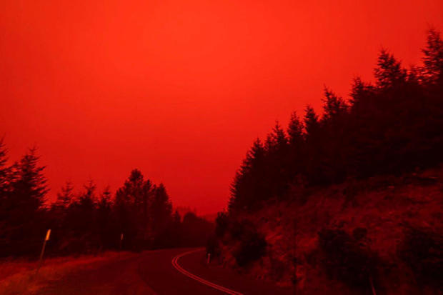 Do you think that the climate change deniers are brainless morons?