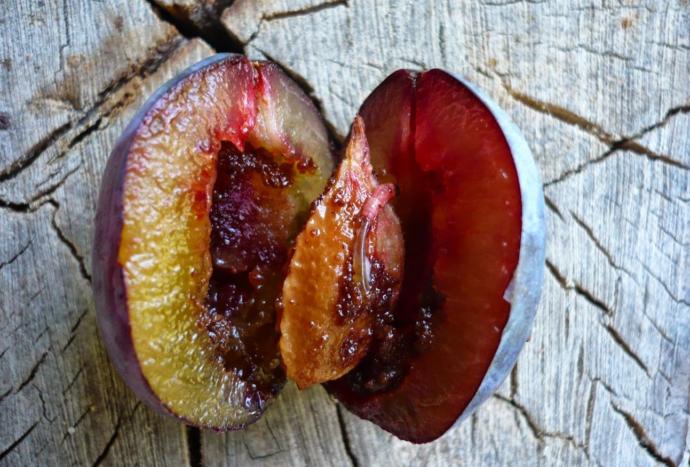 Im vegetarian since 4 years. I ate a plum with worm inside, what should I do?