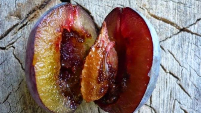 I'm vegetarian since 4 years. I ate a plum with worm inside, what should I do?
