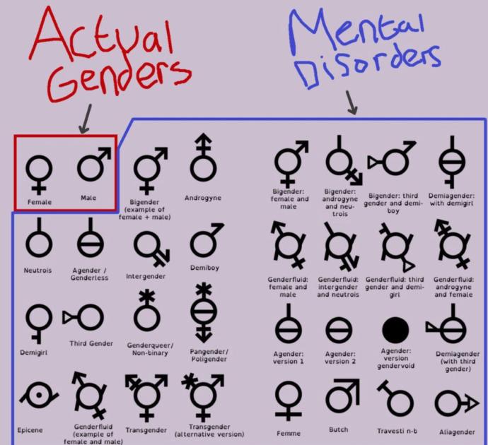 Does the concept of having more than two genders make sense to you?